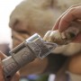Dremel 7020-PGK (F0137020JA)