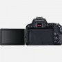 Canon EOS 250D Kit EF-S 18-55mm f/4-5.6 IS STM Black