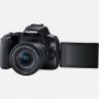 Canon EOS 250D Kit EF-S 18-55mm f/4-5.6 IS STM Black