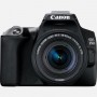Canon EOS 250D Kit EF-S 18-55mm f/4-5.6 IS STM Black