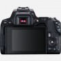 Canon EOS 250D Kit EF-S 18-55mm f/4-5.6 IS STM Black