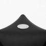 Bang&Olufsen 55 Beolab 90 Natural Black