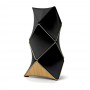 Bang&Olufsen 55 Beolab 90 Natural Black