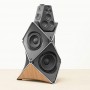 Bang&Olufsen 55 Beolab 90 Natural Forged Iron