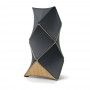 Bang&Olufsen 55 Beolab 90 Natural Forged Iron