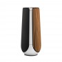 Bang&Olufsen Beolab 50 Silver