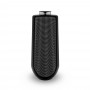 Bang&Olufsen Beolab 50 Piano Black