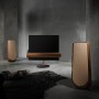 Bang&Olufsen Beolab 50 Bronze Tone