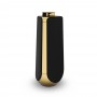 Bang&Olufsen Beolab 50 Brass Tone