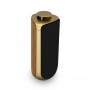 Bang&Olufsen Beolab 50 Brass Tone