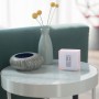 Netatmo Thermostat