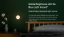 Xiaomi Mi Motion-Activated Night Light 2