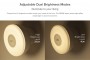 Xiaomi Mi Motion-Activated Night Light 2