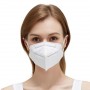 Leinuokang Respiratory Protective Mask FFP2 KN95 20 pieces in a box
