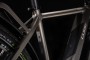 Cube Kathmandu Hybrid SLT 625 Easy Entry teak n silver 2020 (46cm)