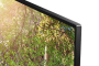 TCL 55EP680