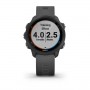 Garmin Forerunner 245 Grey (010-02120-10)