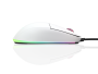 Endgame Gear XM1 White RGB (EGG-XM1RGB-WHT) pele
