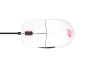 Endgame Gear XM1 White RGB (EGG-XM1RGB-WHT) pele