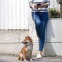 Xiaomi Moestar 2 Automatic Dog Leash (6971930293067)