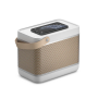 Bang & Olufsen Beolit 20 Grey Mist Portable Wireless Speaker