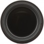 Sigma 105mm f/2.8 DG DN Macro Art Sony E-mount