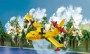Siku Fire fighting airplane (1793)