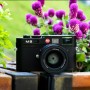 7Artisans 35mm F/1.4 Wen Leica M Mount