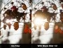 NiSi Black Mist Filter 1/2 72mm