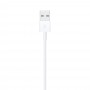 Apple Lightning to USB Cable (1m) MXLY2ZM