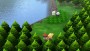 Nintendo Switch Pokemon Shining Pearl