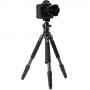 Benro BICLT204 2 Series Induro Classic Carbon Fiber Tripod