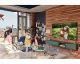 Samsung QE65Q65A