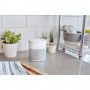 Bose Home Speaker 300 Luxe Silver
