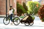 Thule Chariot Cab 2 Cypres Green 10204021