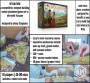 Stonemaier Games Viticulture Essential Edition (EN)