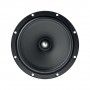 Focal ASE 165