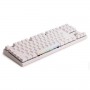 Varmilo Double Rainbow RGB VA87M TKL Cherry MX Speed Silver RU (VA87MY1T/WWMCRb)