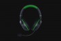 Razer Kaira Pro Wireless Gaming Headset