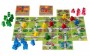 Brain Games Carcassonne Junior (LT/LV/EE/RU)