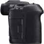Canon EOS R7 Body + Mount Adapter EF-EOS R