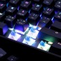 MOTOSPEED CK61 Mechanical Keyboard with RGB (US, RED switch)