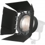 Nanlite Kit Nanlite Forza 300 with FL-20G Fresnel