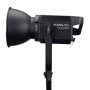 Nanlite Kit Nanlite Forza 300 with FL-20G Fresnel
