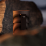 Bang & Olufsen Beosound Explore Chestnut Portable Wireless Speaker