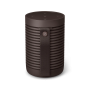 Bang & Olufsen Beosound Explore Chestnut Portable Wireless Speaker