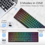Royal Kludge RK100 Black Wireless Keyboard 96% Hot-swap Blue Switches US Black