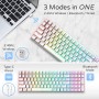 Royal Kludge RK100 White Wireless Keyboard 96% Hot-swap Red Switches US White