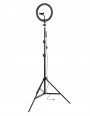 Fun Generation Ring Light 250