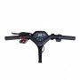 Segway KickScooter P65E